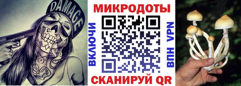 Купить  Бавлы  Псилоцибиновые грибы мицелий 